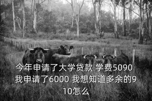 今年申請了大學(xué)貸款 學(xué)費5090 我申請了6000 我想知道多余的910怎么
