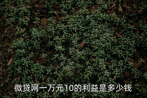 微貸網(wǎng)一萬元10的利益是多少錢