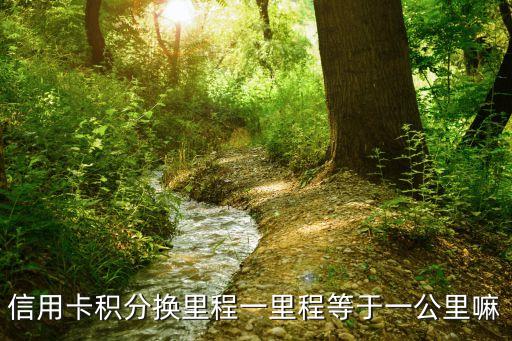 信用卡積分換里程一里程等于一公里嘛
