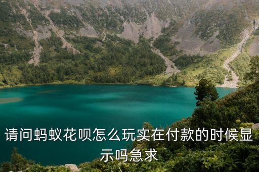 請問螞蟻花唄怎么玩實在付款的時候顯示嗎急求