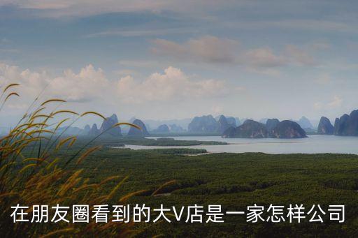 在朋友圈看到的大V店是一家怎樣公司