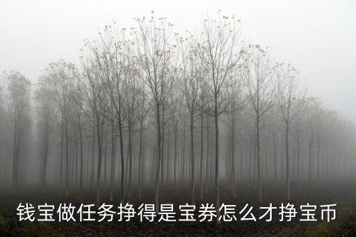 錢寶做任務(wù)掙得是寶券怎么才掙寶幣