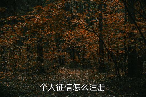 個(gè)人征信怎么注冊(cè)