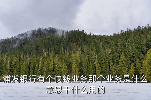 快錢貸款是怎么回事，浦發(fā)銀行有個快錢業(yè)務那個業(yè)務是什么意思干什么用的