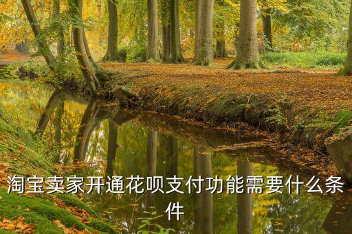 淘寶賣家開通花唄支付功能需要什么條件