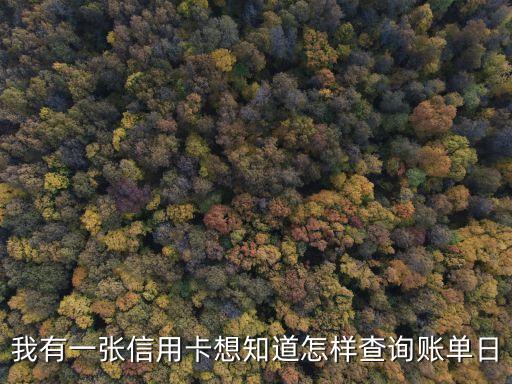 信用卡當(dāng)日賬單怎么查，如何查詢信用卡賬單