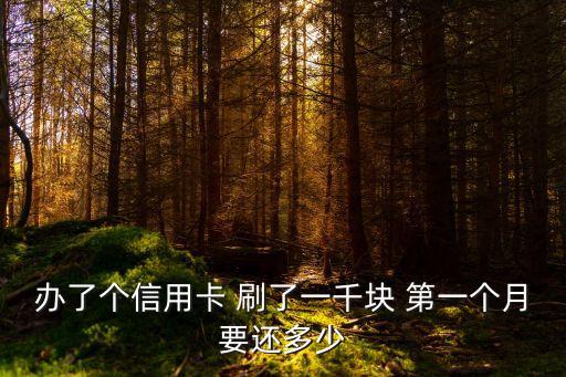 辦了個信用卡 刷了一千塊 第一個月要還多少