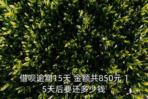 借唄逾期15天會(huì)怎么樣，借唄逾期15天 金額共850元 15天后要還多少錢