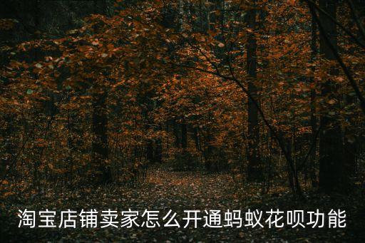 淘寶店鋪賣家怎么開通螞蟻花唄功能