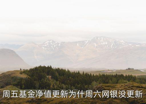 周五基金凈值更新為什周六網(wǎng)銀沒更新