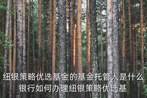 瑞銀投行怎么樣，我想買貨幣基金怎么樣