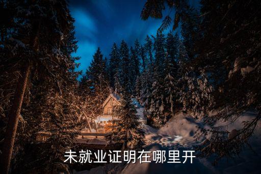 無工作無單位證明怎么開，未就業(yè)證明在哪里開
