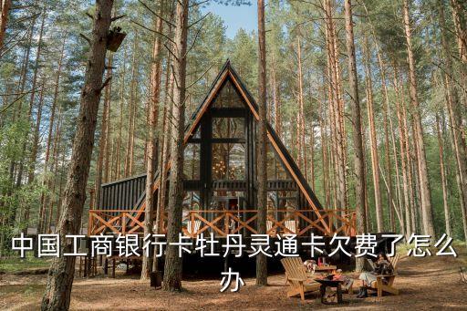 中國工商銀行卡牡丹靈通卡欠費(fèi)了怎么辦