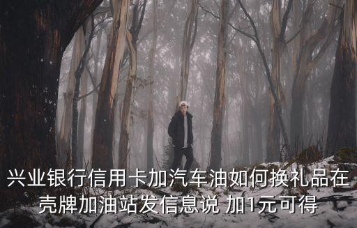 興業(yè)石化信用卡怎么用，興業(yè)的信用金卡還能進機場貴賓么