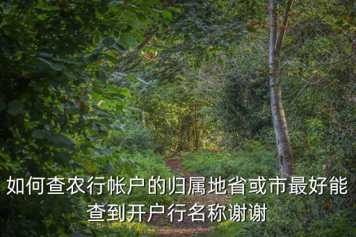 如何查農(nóng)行帳戶的歸屬地省或市最好能查到開(kāi)戶行名稱謝謝