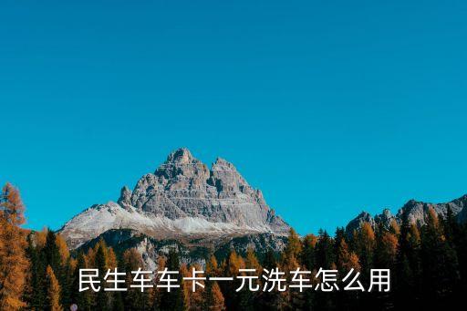 民生車車卡一元洗車怎么用