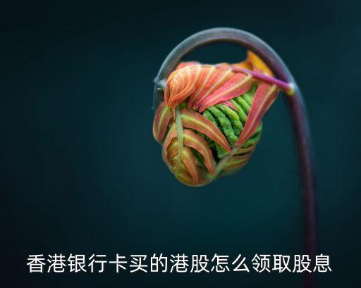 港股的分紅怎么領(lǐng)取，股票持有者如何向股份公司領(lǐng)取股息紅利