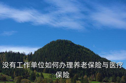 沒有單位怎么申請(qǐng)社保，沒有工作單位如何辦理養(yǎng)老保險(xiǎn)與醫(yī)療保險(xiǎn)