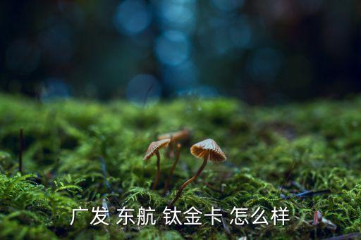 東航金卡怎么樣，建設(shè)銀行東航信用卡此卡怎樣