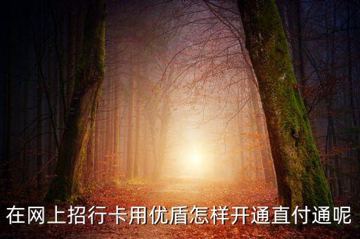 招行怎么用優(yōu)盾支付，招商銀行的U盾怎么用支付
