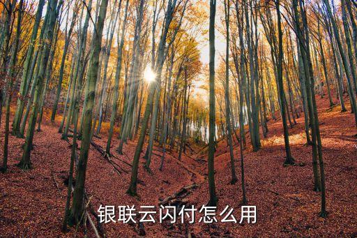 銀聯(lián)云閃付怎么用