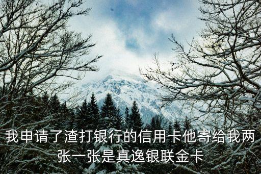 渣打怎么寄了兩張卡，渣打銀行信用卡從哪寄出