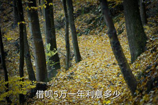 借唄5萬一年利息多少