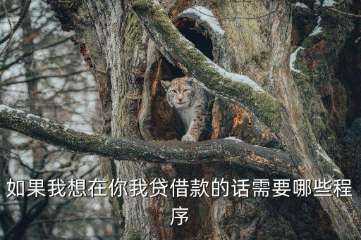 你我貸怎么發(fā)布借款，你我金融如何借款