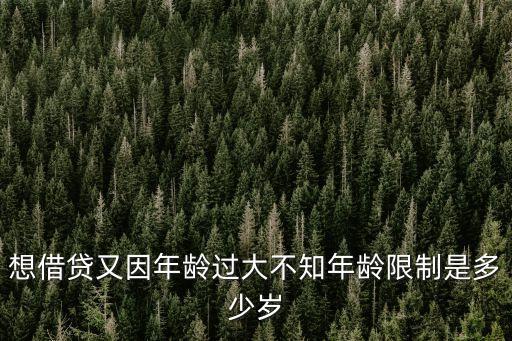 想借貸又因年齡過大不知年齡限制是多少歲