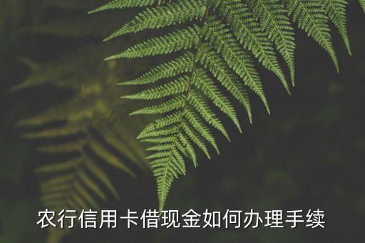 農(nóng)行怎么預借現(xiàn)金分期，農(nóng)行網(wǎng)點怎么做信用卡現(xiàn)金分期業(yè)務
