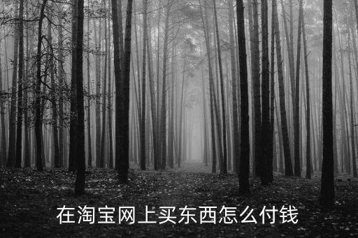 在淘寶網(wǎng)上買東西怎么付錢