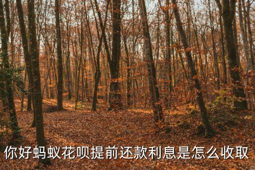 你好螞蟻花唄提前還款利息是怎么收取