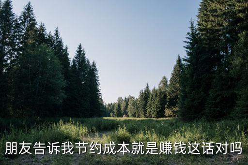 朋友告訴我節(jié)約成本就是賺錢這話對嗎
