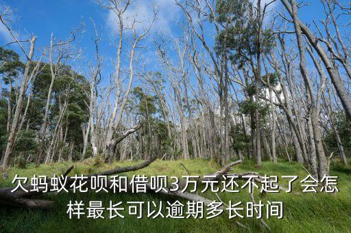 欠螞蟻花唄和借唄3萬(wàn)元還不起了會(huì)怎樣最長(zhǎng)可以逾期多長(zhǎng)時(shí)間