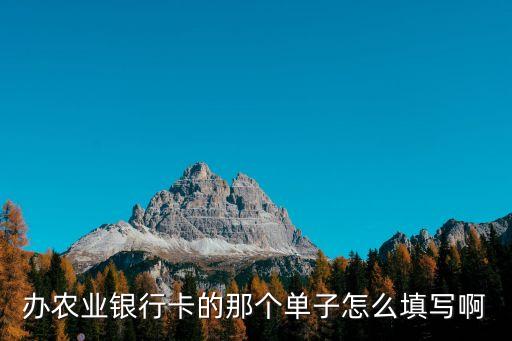 辦農(nóng)業(yè)銀行卡的那個(gè)單子怎么填寫啊