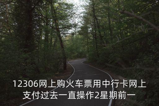 12306網(wǎng)上購(gòu)火車(chē)票用中行卡網(wǎng)上支付過(guò)去一直操作2星期前一