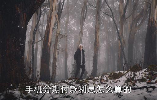 手機(jī)分期付款利息怎么算的