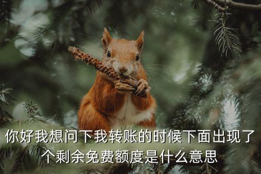 你好我想問下我轉賬的時候下面出現了個剩余免費額度是什么意思