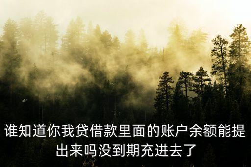 你我貸怎么余額提現(xiàn)，誰(shuí)知道你我貸借款里面的賬戶余額能提出來(lái)嗎沒(méi)到期充進(jìn)去了