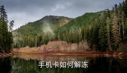 手機卡如何解凍