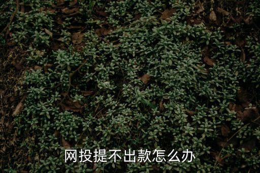 網投提不出款怎么辦