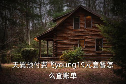天翼預付費飛young19元套餐怎么查賬單