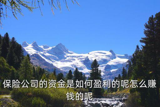 保險(xiǎn)理財(cái)怎么賺錢，那些作理財(cái)保險(xiǎn)的利潤是在哪里