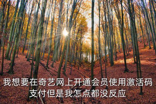 激活庫支票怎么沒反應(yīng)，激活到這一步為什么點了沒反應(yīng)