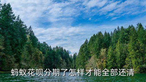 手機(jī)分期怎么一次還清，請問oppo商城買東西分期可以提前還清嗎