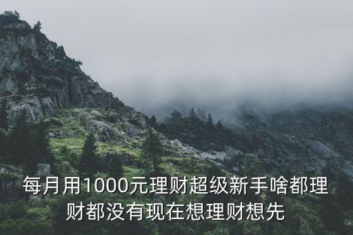 每月用1000元理財超級新手啥都理財都沒有現(xiàn)在想理財想先