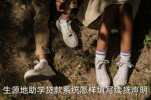 生源地助學(xué)貸款系統(tǒng)怎樣填寫(xiě)續(xù)貸聲明