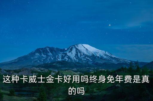 全幣種威士金卡怎么樣，這種卡威士金卡好用嗎終身免年費是真的嗎