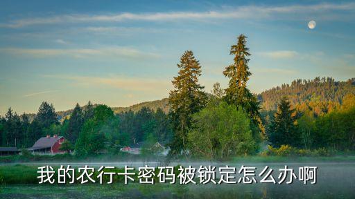 我的農(nóng)行卡密碼被鎖定怎么辦啊