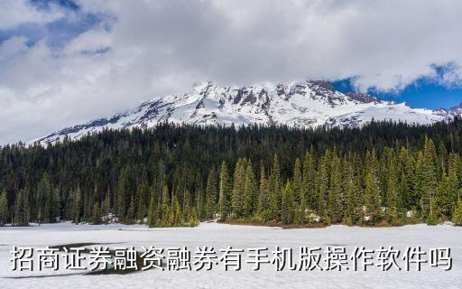 融資融券手機(jī)版怎么操作流程，華泰漲了財(cái)付通融資融券怎么操作